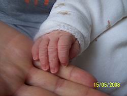 2008.05.15.14.jpg