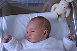 2008.05.18.02.jpg