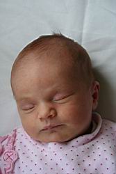 2008.05.26.08.jpg