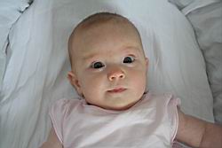 2008.08.03.02.jpg