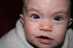 2008.11.20.07.jpg