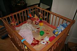 2009.01.12.02.jpg