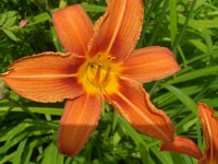 2009.06.13.39