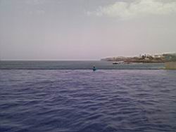 2011.05.15.03.jpg