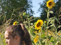 2020.08.03.19