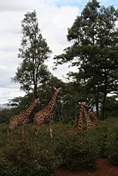 2006.10.21.03.jpg