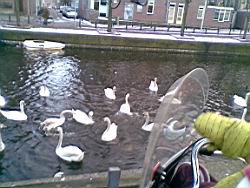 2012.02.16.03.jpg