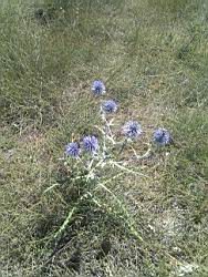 2012.07.31.09.jpg