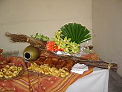 DSC03125.JPG
