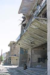 536.jpg