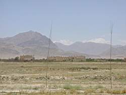 P1010002.JPG