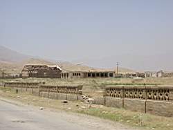P1010007.JPG