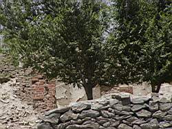 P2070044.jpg