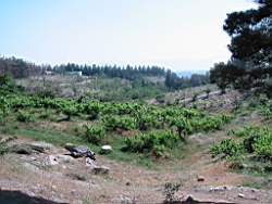 108-0855_IMG.JPG