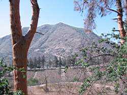 108-0856_IMG.JPG