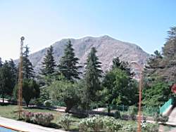 108-0860_IMG.JPG