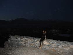 IMG_0792.JPG
