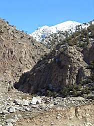 DSCF4609.JPG