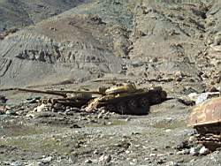 DSCF4610.JPG