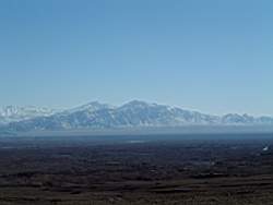 DSCF4623.JPG