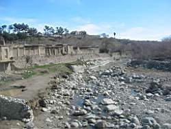 IMG_1224.JPG