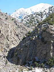 IMG_1245.JPG
