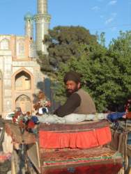 DSCF4808.JPG