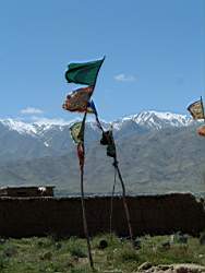DSCF4853.JPG