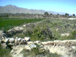 IMGA0873.JPG