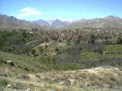 IMGA0874.JPG