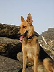 115-1505_IMG.JPG