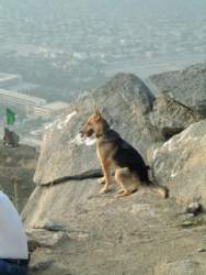 DSCF5083.JPG