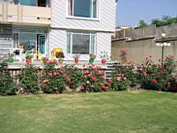 108-0848_IMG.JPG