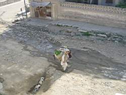 108-0850_IMG.JPG