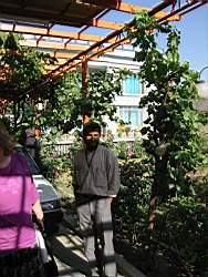 109-0995_STC.JPG