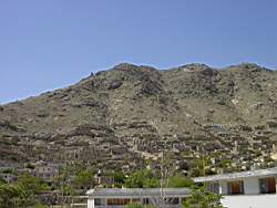DSC00207.JPG