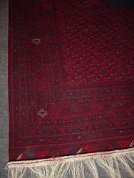carpet.Apr.02.2.JPG