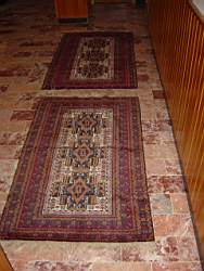 carpet.Apr.02.3.JPG