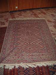 carpet.Fev.03.1.JPG
