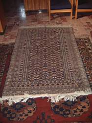 carpet.Fev.03.5.JPG