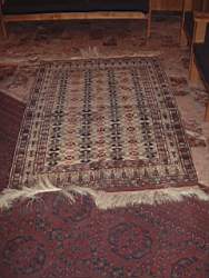 carpet.May.03.2.JPG