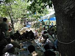 109-0985_IMG.JPG