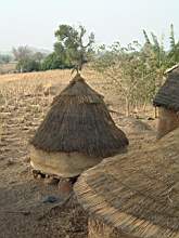 DSCF2379.JPG