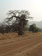 DSCF2391.JPG