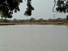DSCF2430.JPG