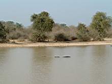 DSCF2431.JPG