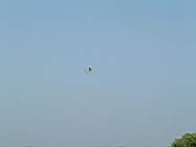 DSCF2432.JPG