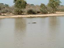 DSCF2433.JPG