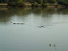 DSCF2462.JPG