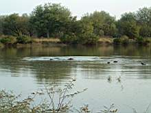 DSCF2464.JPG